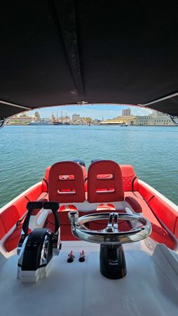 Singlar 290 Plus | La realeza 3