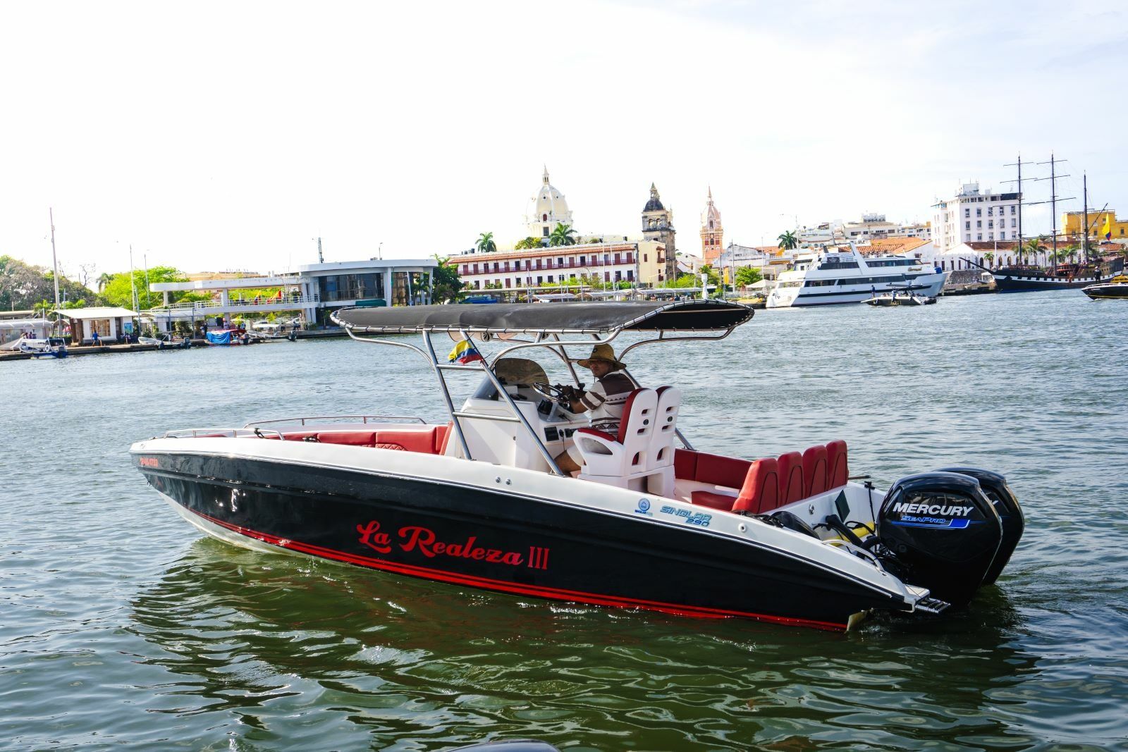 Singlar 290 Plus | La realeza 3