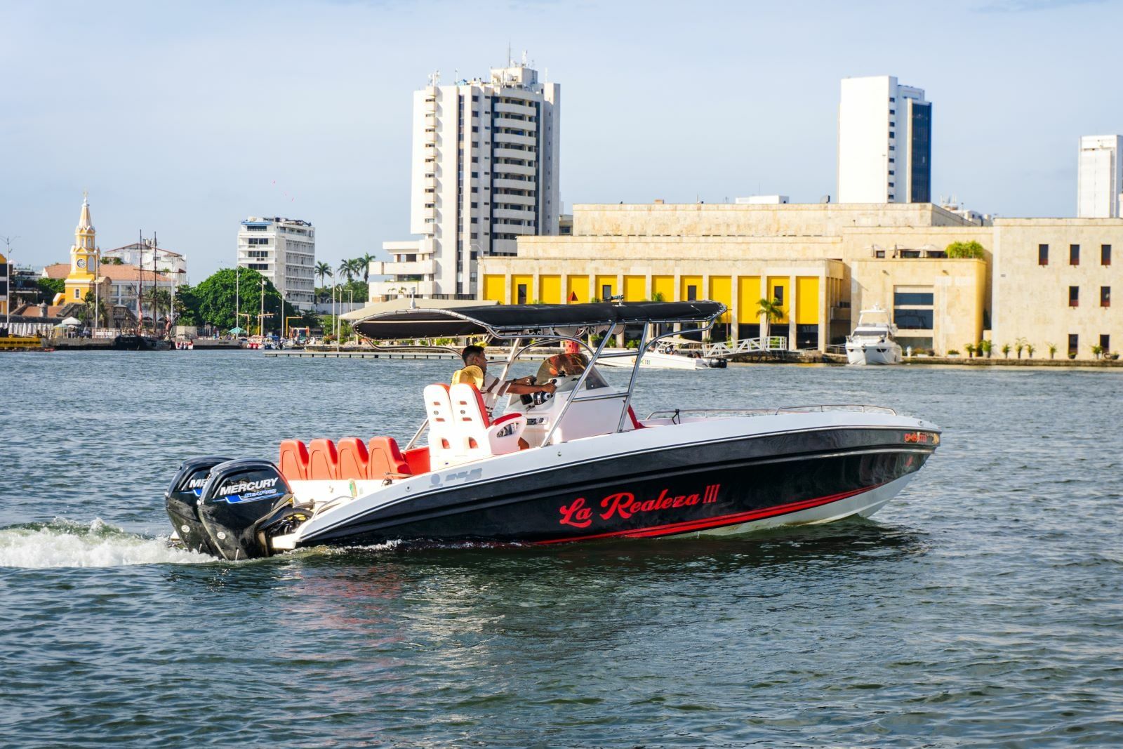 Singlar 290 Plus | La realeza 3