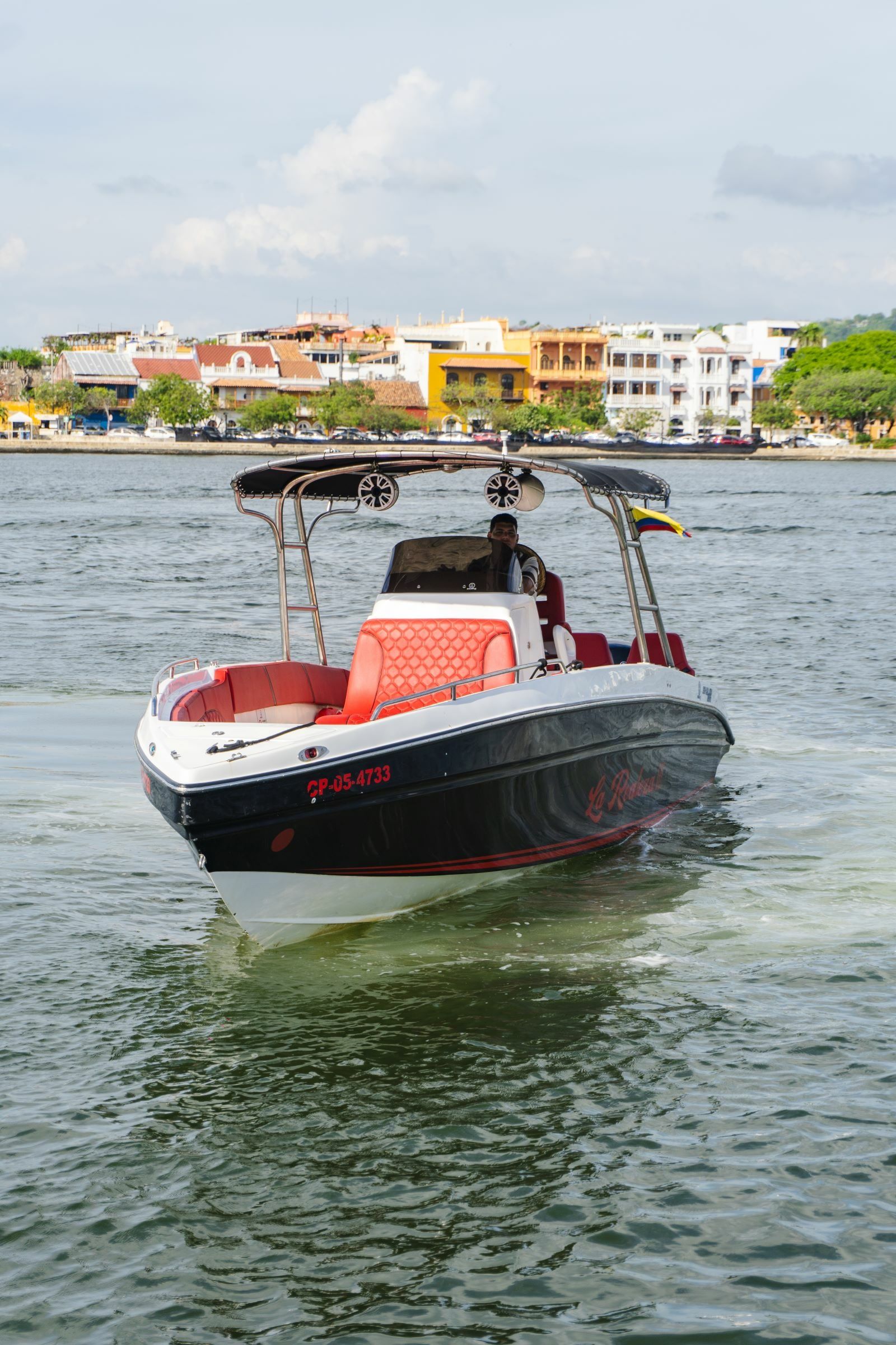 Singlar 290 Plus | La realeza 3