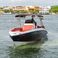 Singlar 290 Plus | La realeza 3