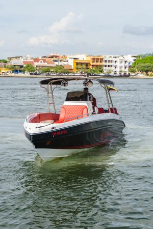 Singlar 290 Plus | La realeza 3