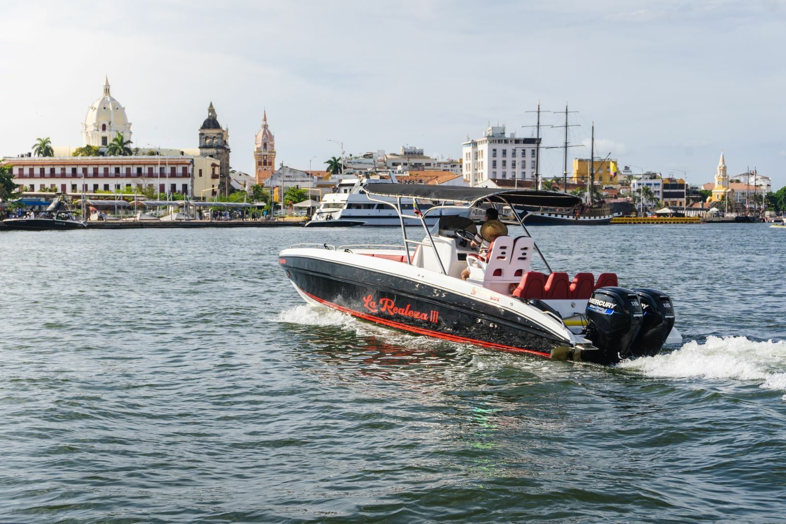 Singlar 290 Plus | La realeza 3