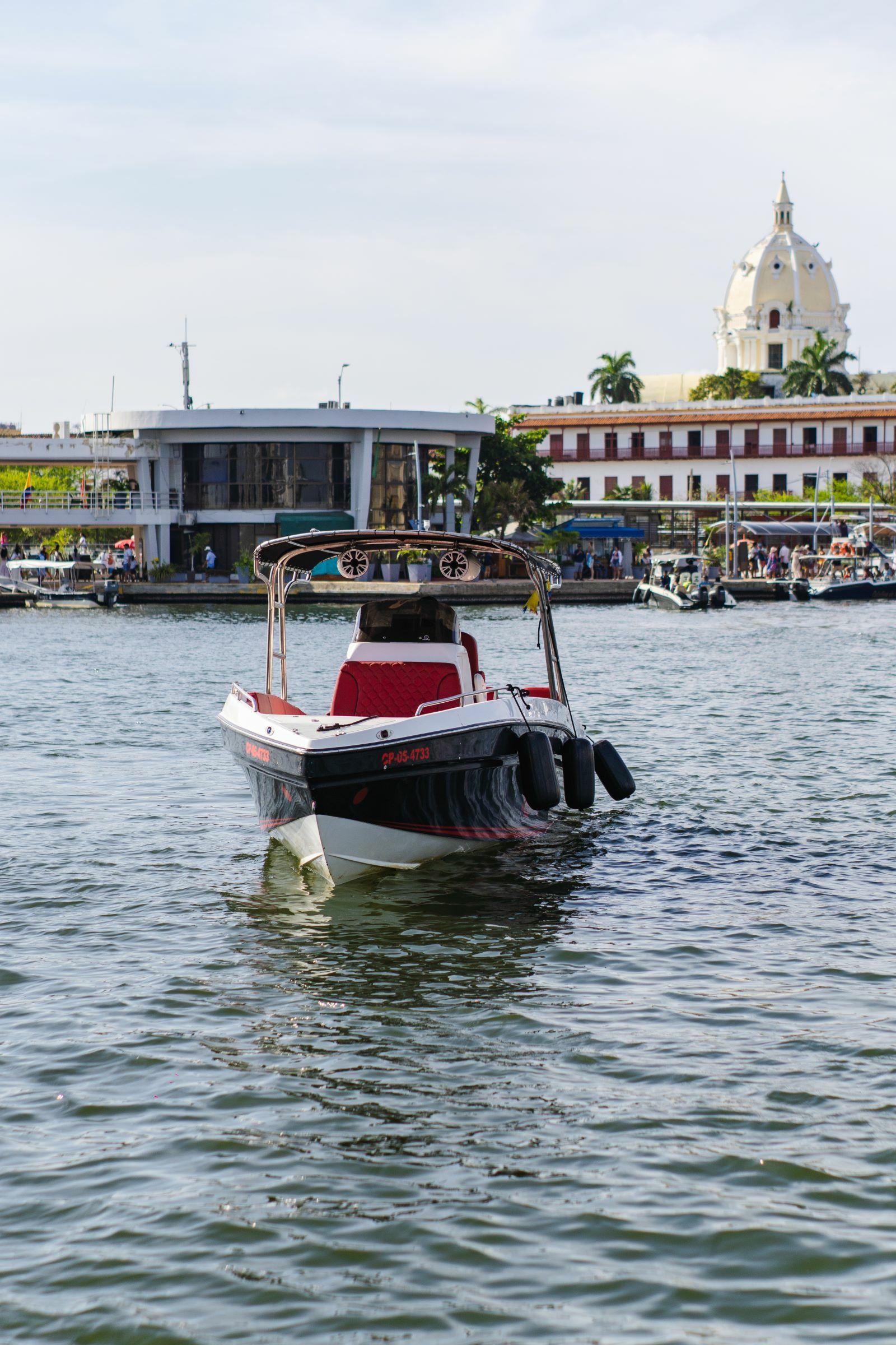 Singlar 290 Plus | La realeza 3