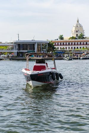Singlar 290 Plus | La realeza 3