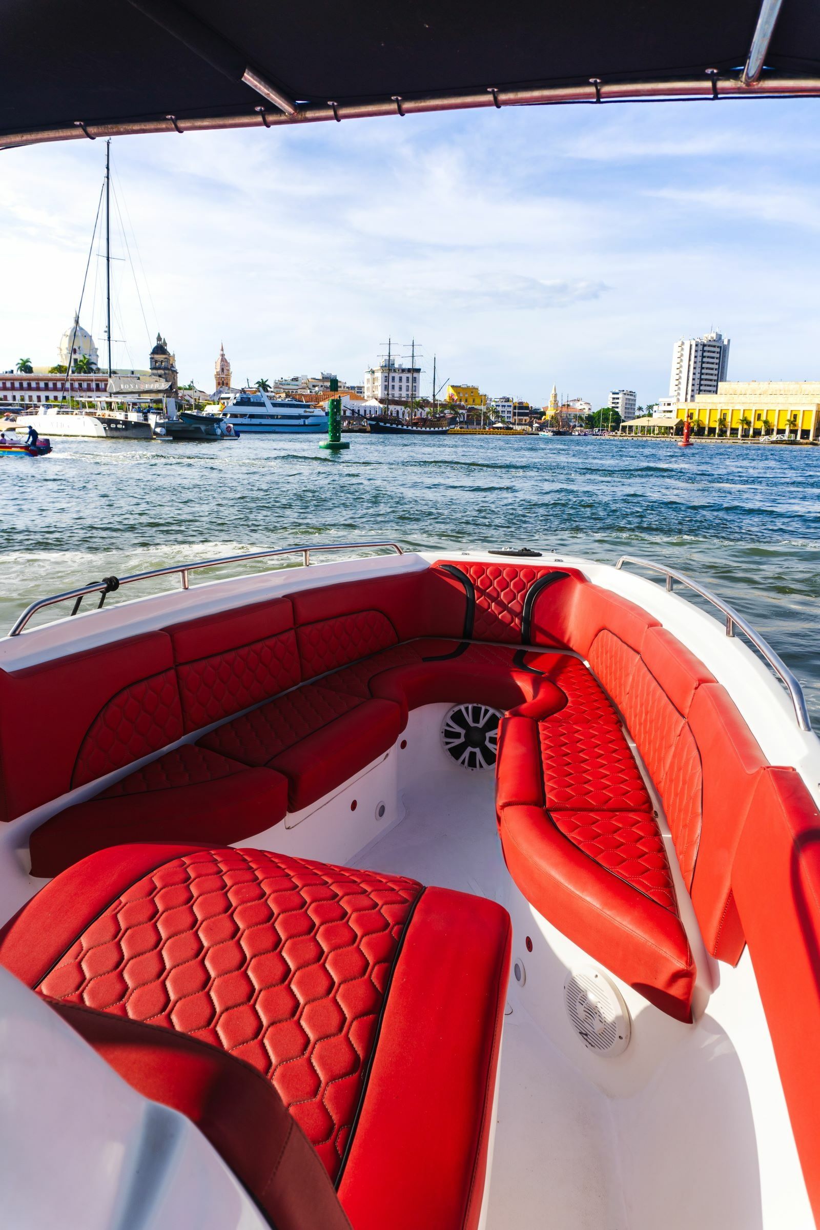 Singlar 290 Plus | La realeza 3