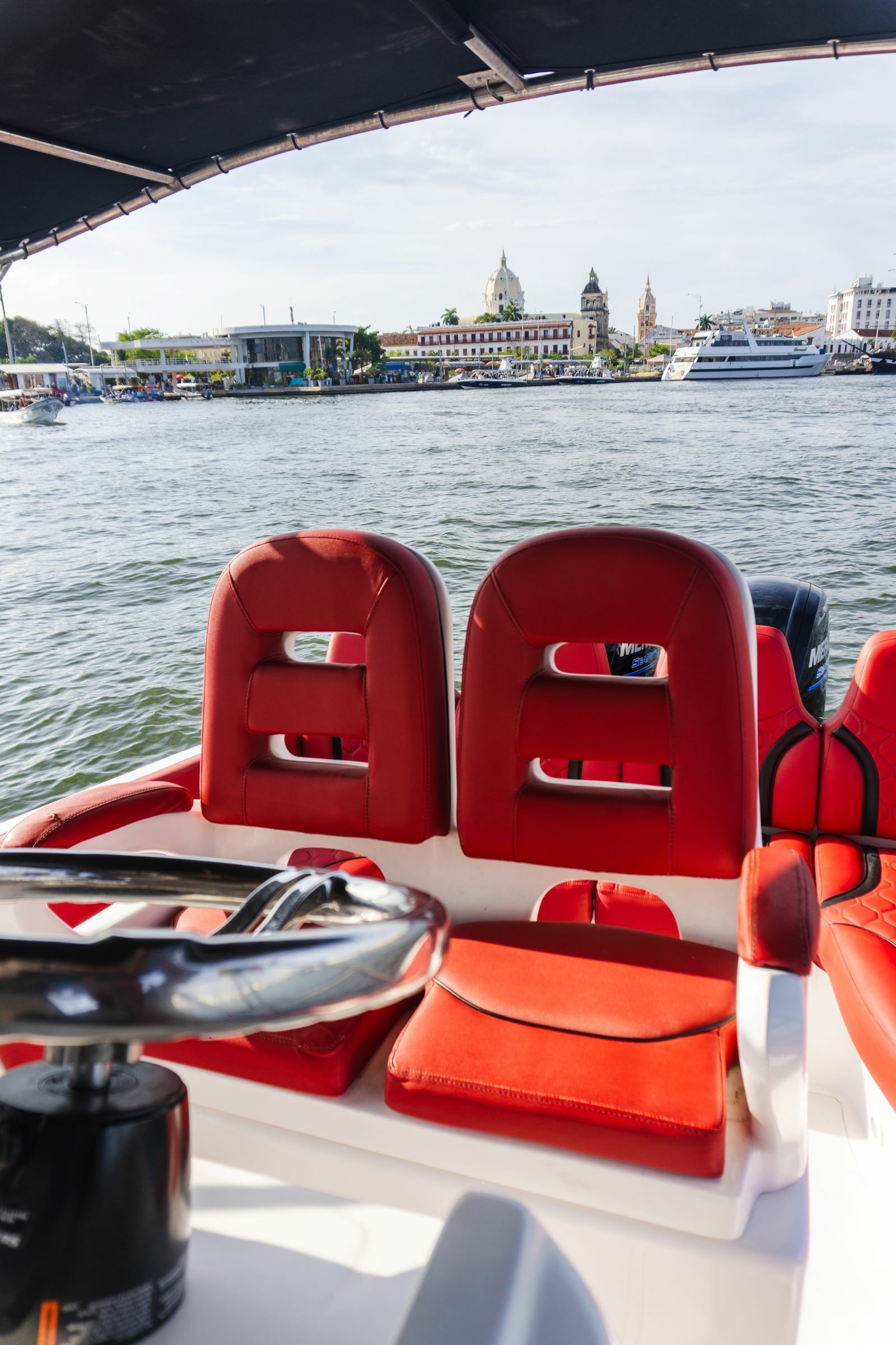 Singlar 290 Plus | La realeza 3