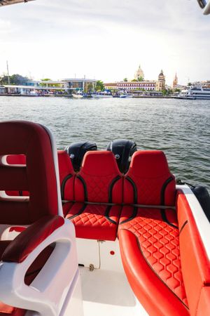 Singlar 290 Plus | La realeza 3