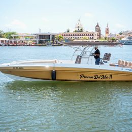 Singlar 290 Plus | Princessa del Mar 2