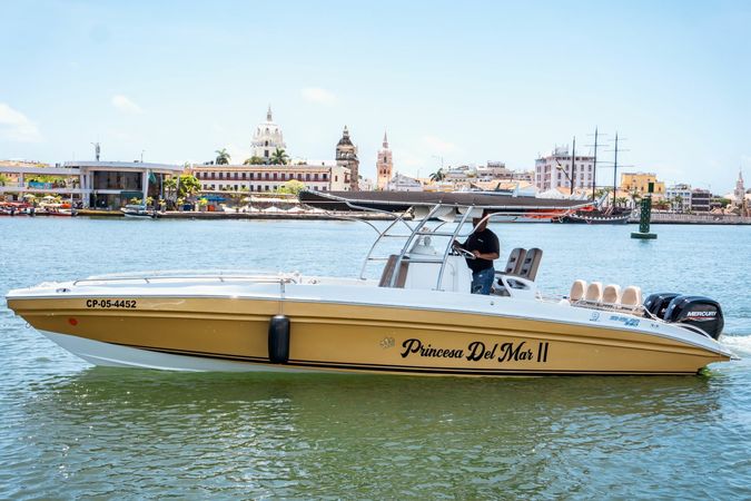 Singlar 290 Plus | Princessa del Mar 2