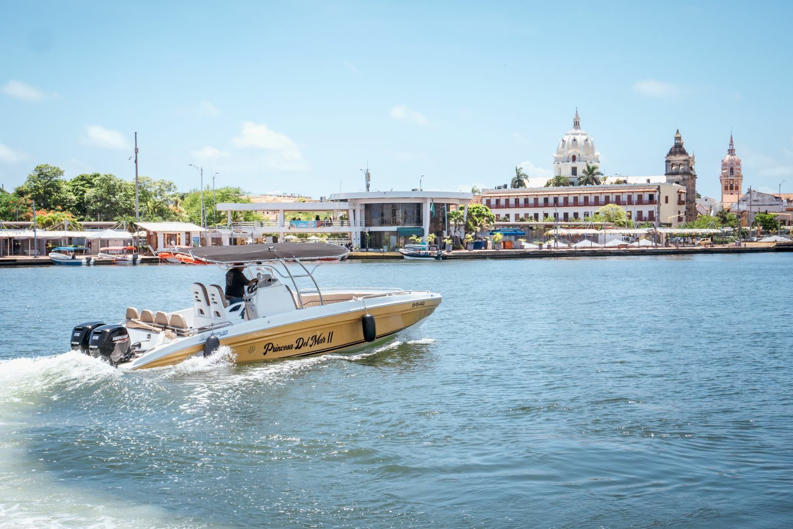 Singlar 290 Plus | Princessa del Mar 2