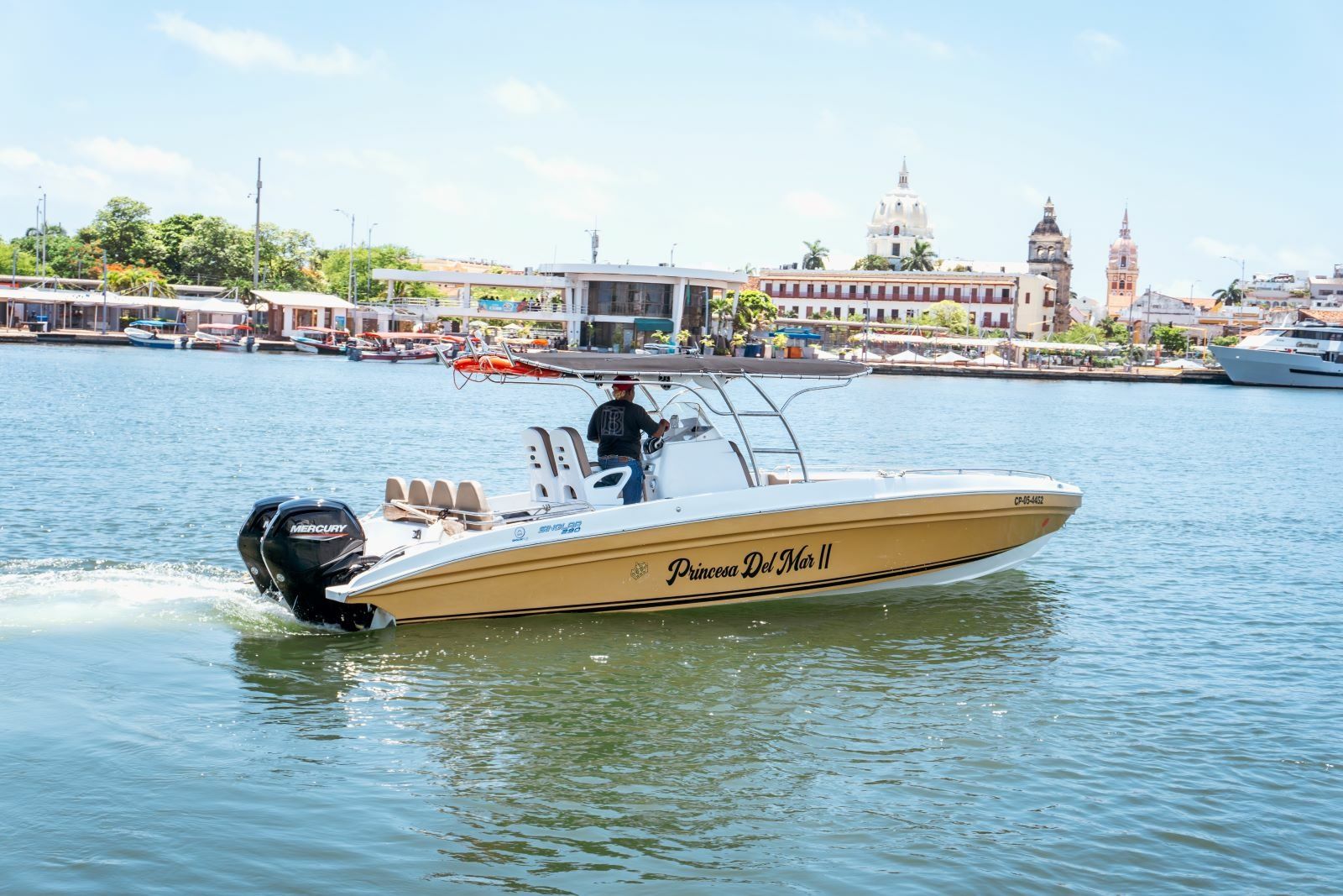 Singlar 290 Plus | Princessa del Mar 2