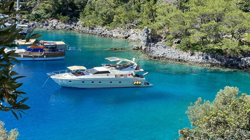 Custom Built 65 | Bonus