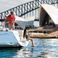Jeanneau Sun Odyssey 379 | Esprit de Ouessant