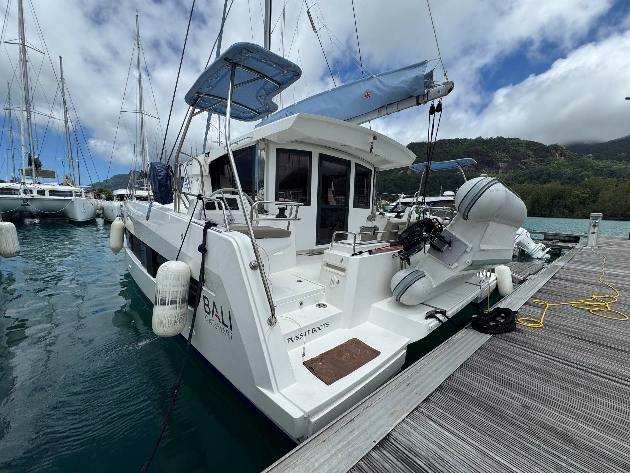 Bali Catsmart | Puss in Boots