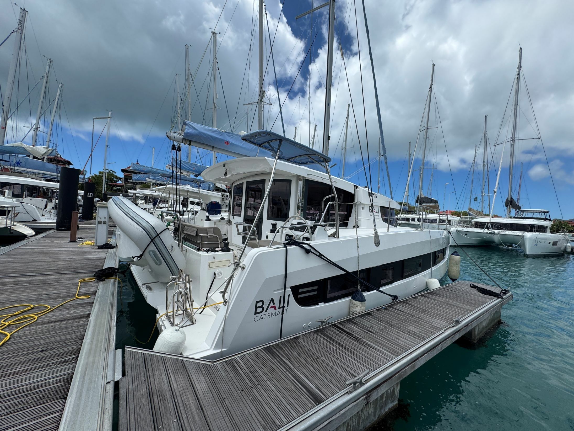 Bali Catsmart | Puss in Boots