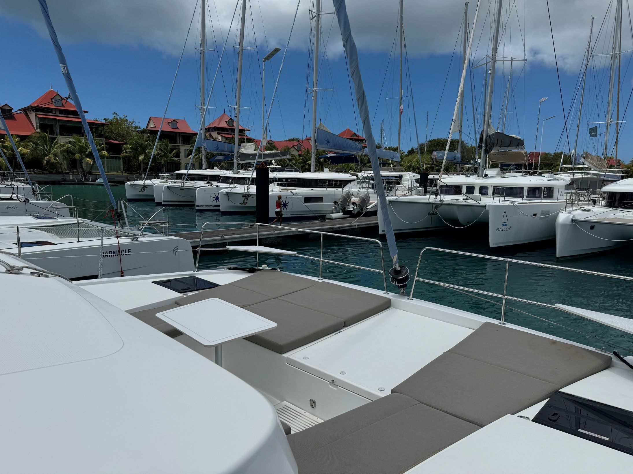 Bali Catsmart | Puss in Boots