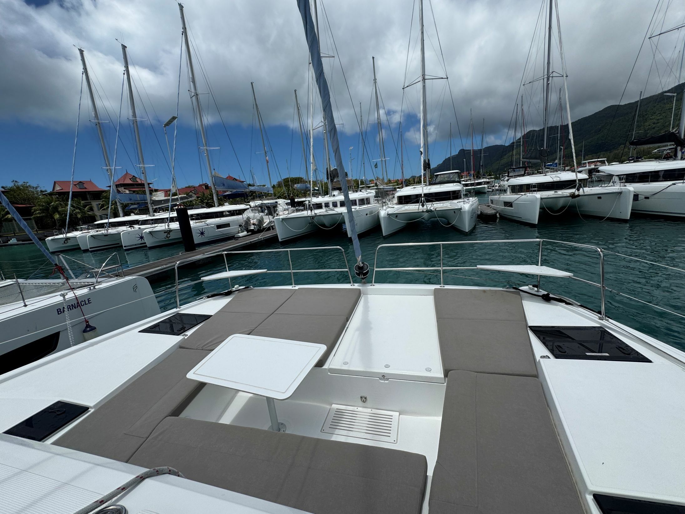 Bali Catsmart | Puss in Boots