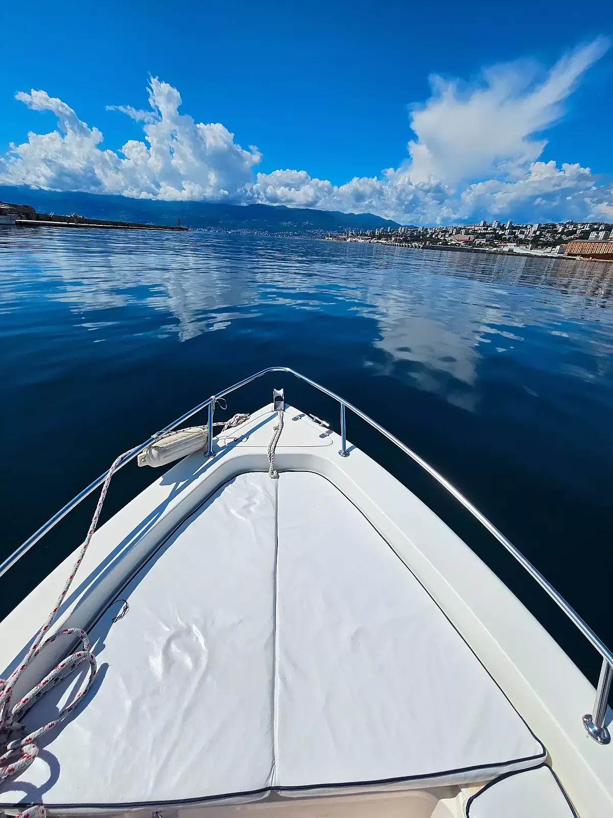 Capelli 550 | Oliver