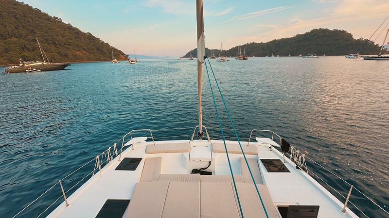 Bali Catspace | Jomo