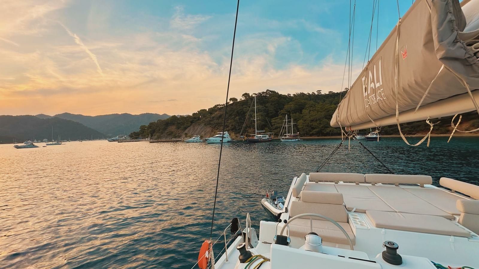 Bali Catspace | Jomo