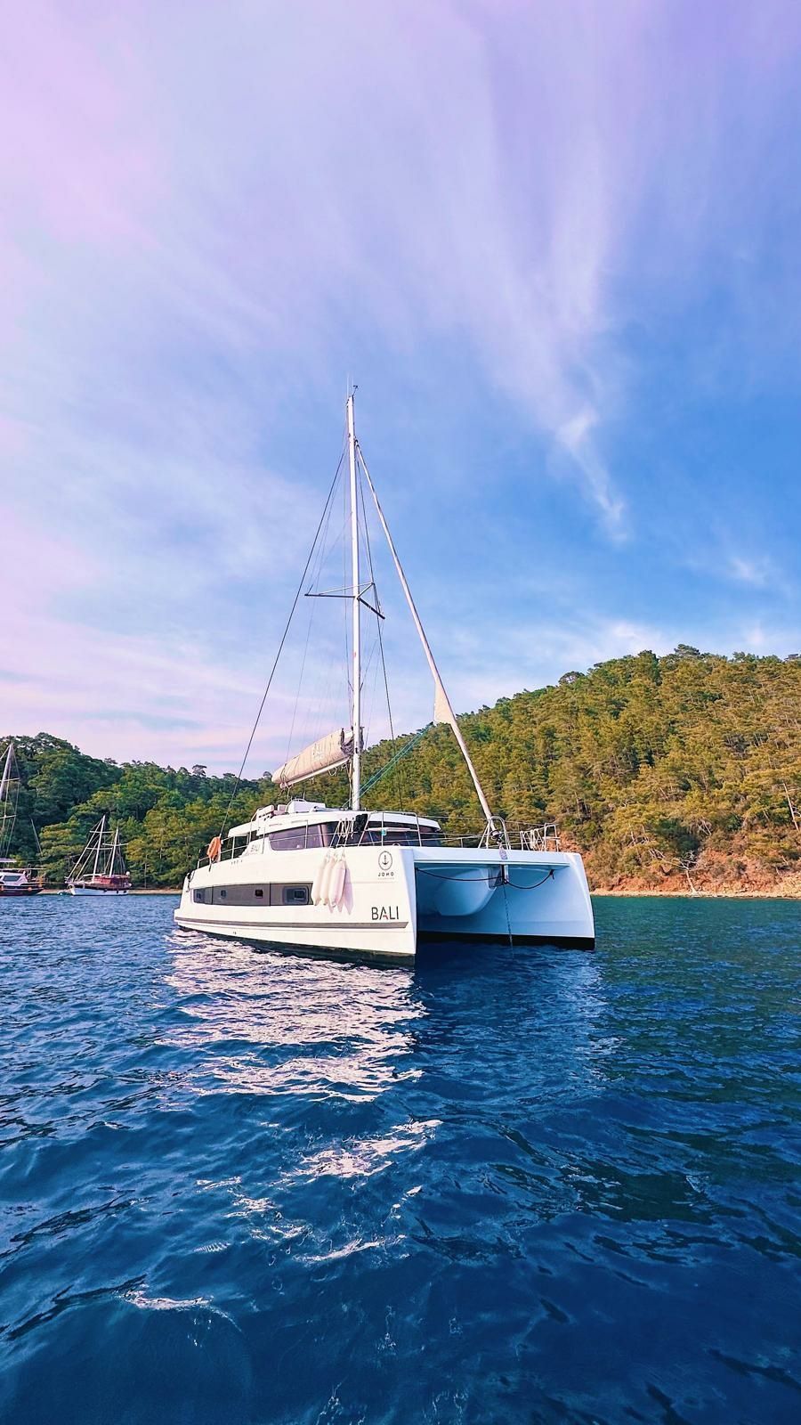 Bali Catspace | Jomo