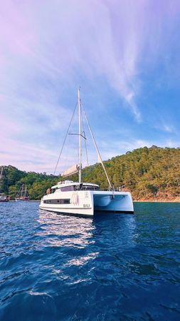 Bali Catspace | Jomo