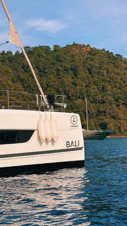 Bali Catspace | Jomo