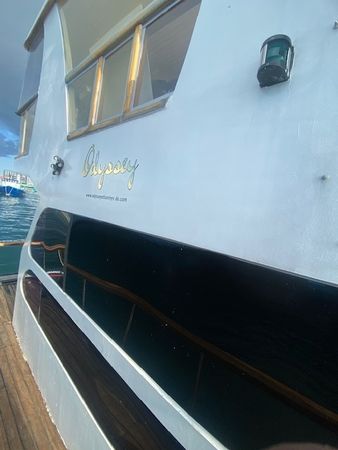 Custom Built 49 | Odyssey