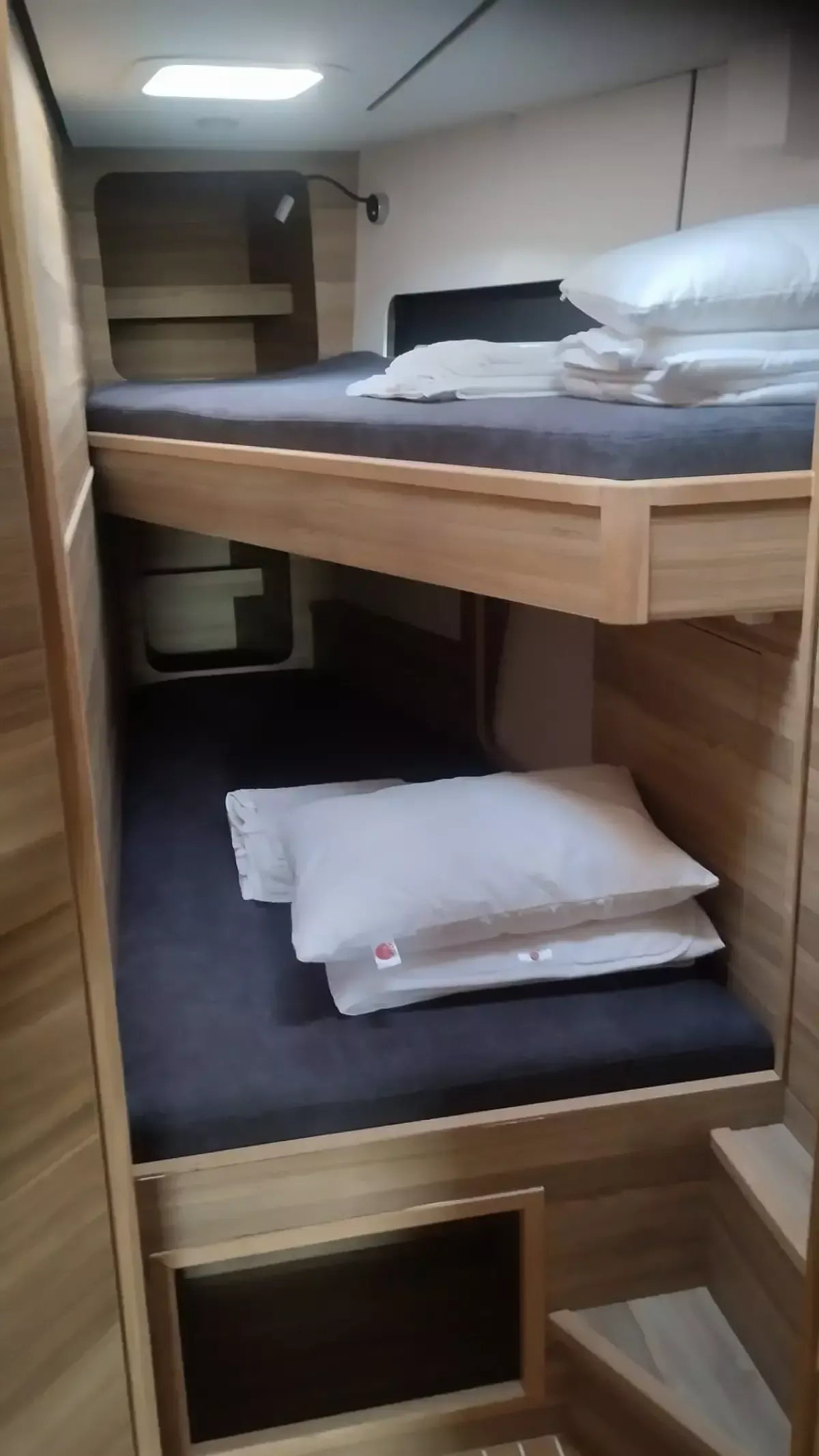 D and D Kufner 54 | Extraordinarius