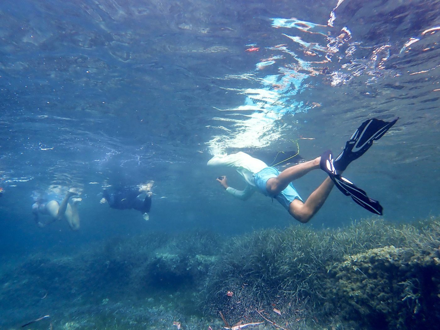 Custom Built 72 | Galaxie