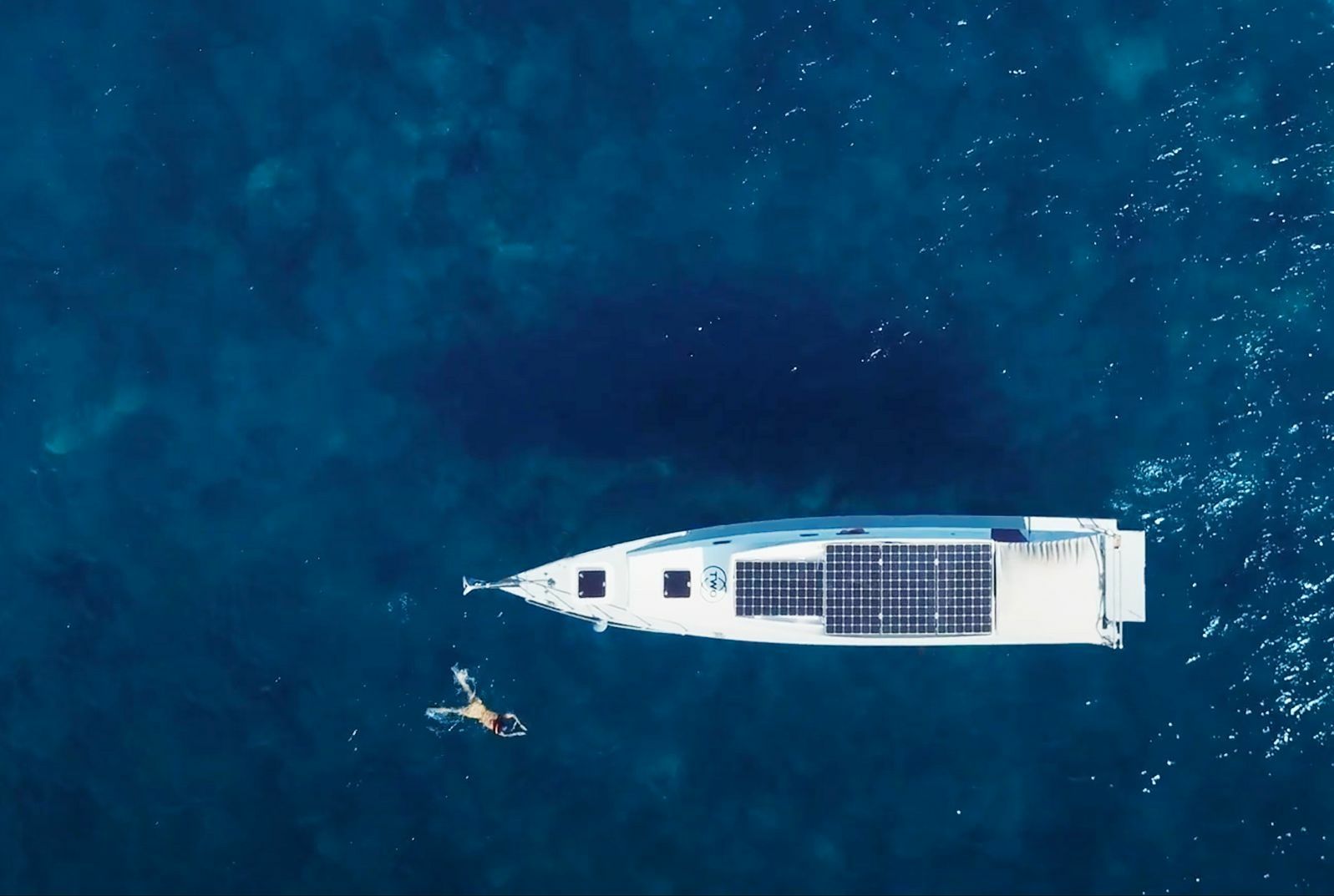 Custom Built 39 | Stenella