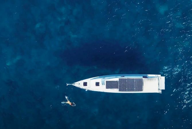 Custom Built 39 | Stenella