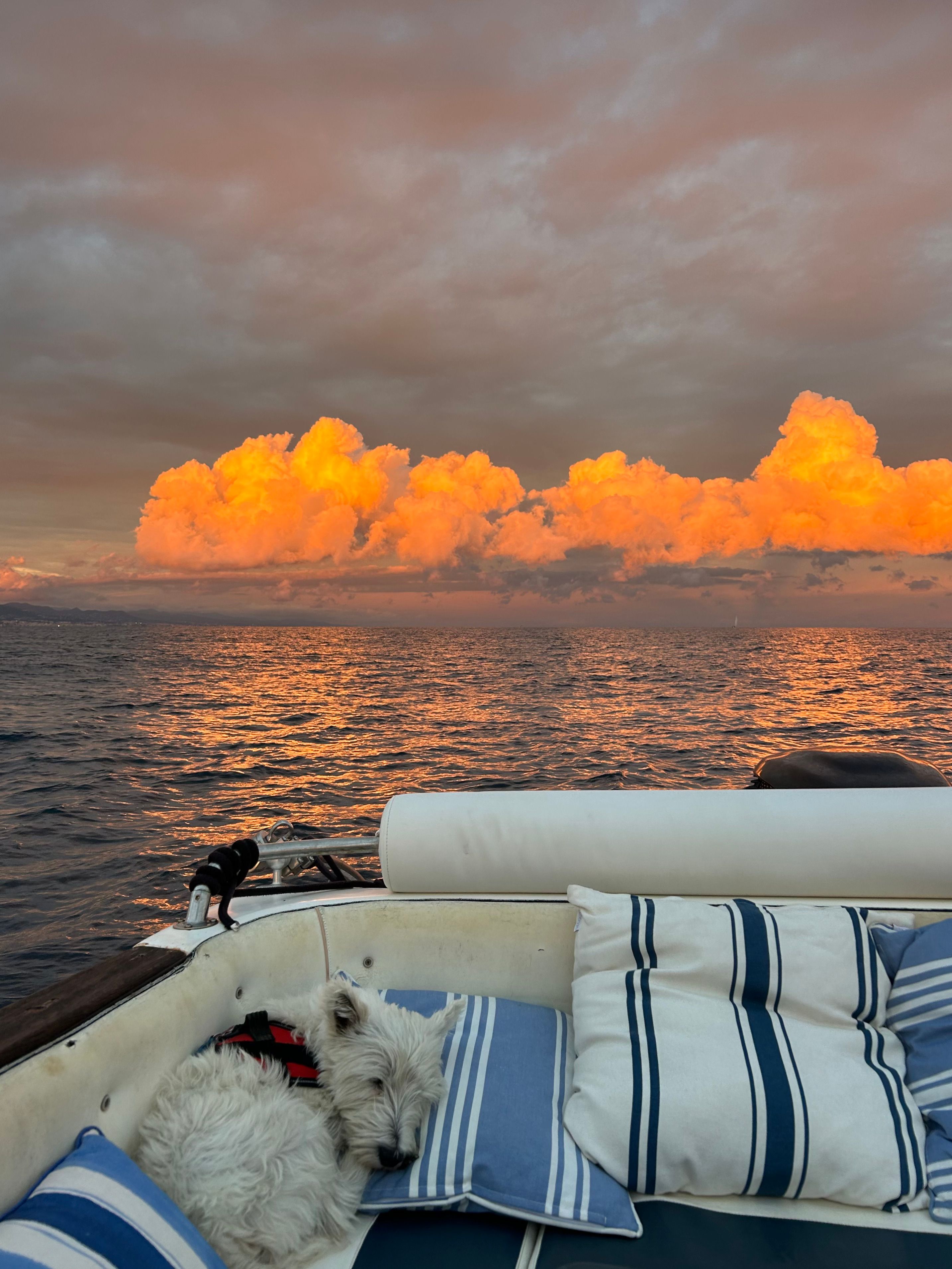 Marinello Eden 22 | Marinello