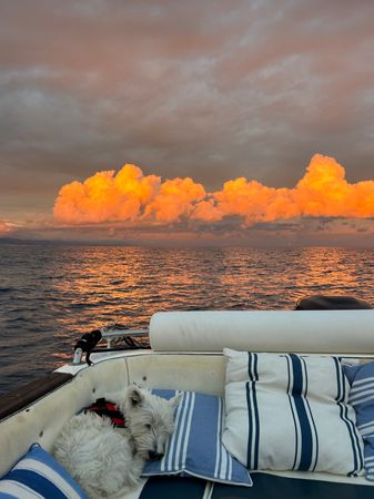 Marinello Eden 22 | Marinello