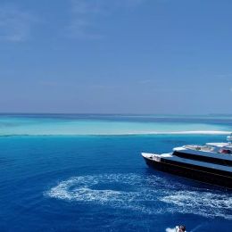 Custom Built 124 | Azalea