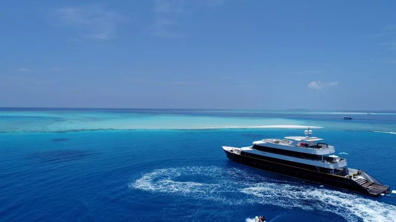 Custom Built 124 | Azalea