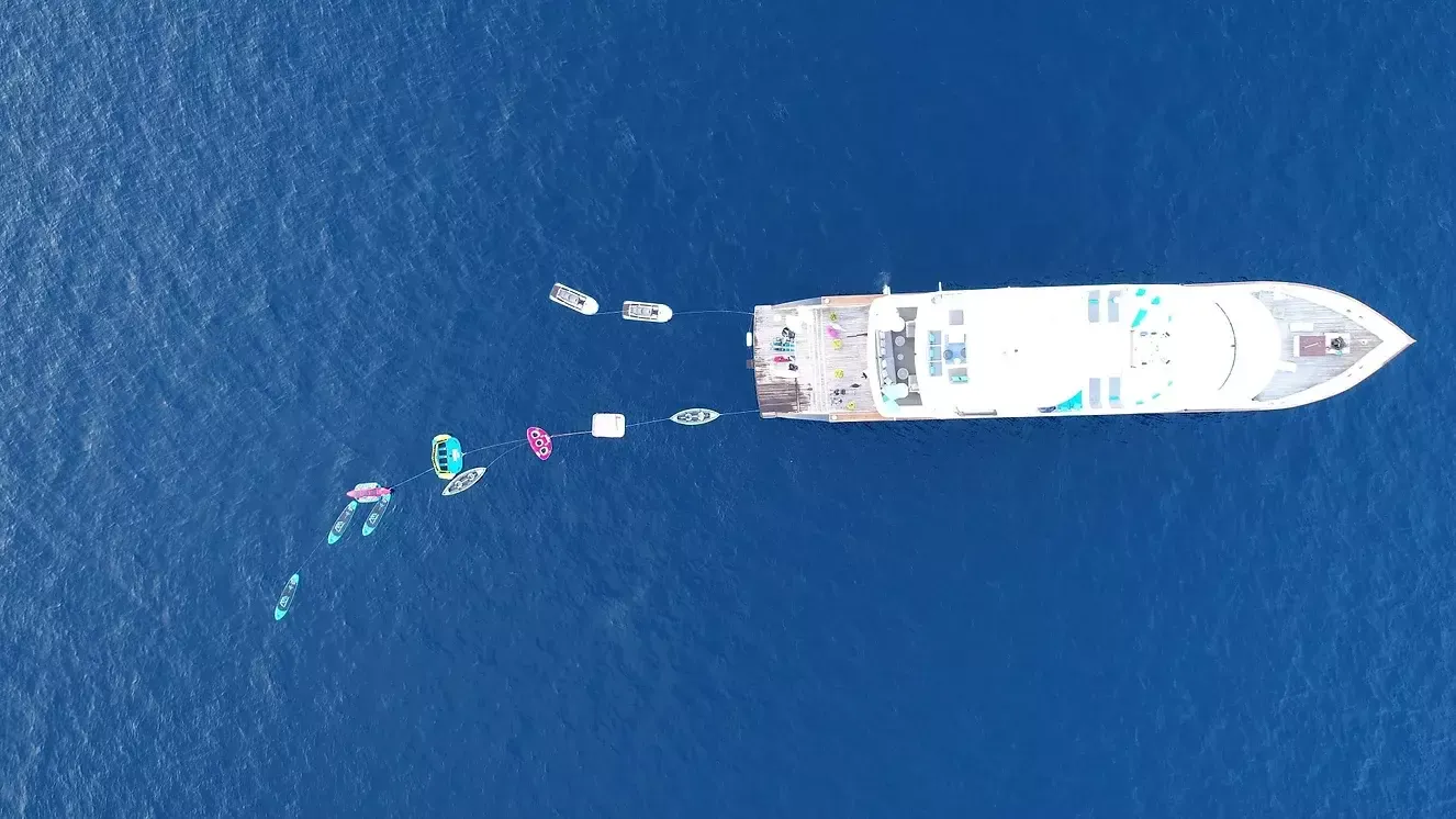 Custom Built 124 | Azalea