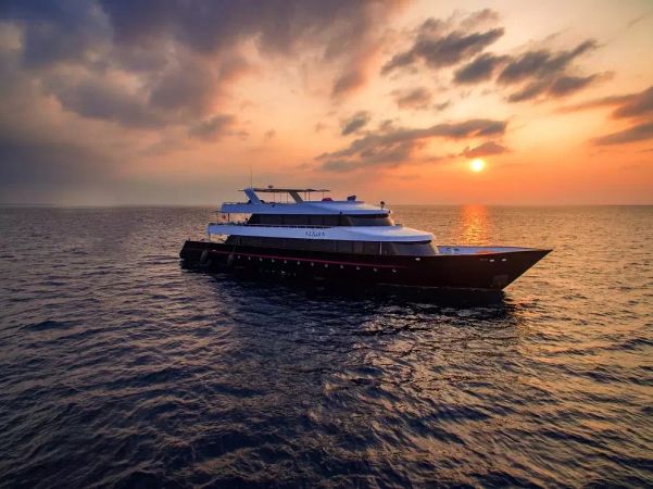 Custom Built 124 | Azalea