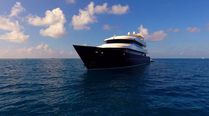 Custom Built 124 | Azalea