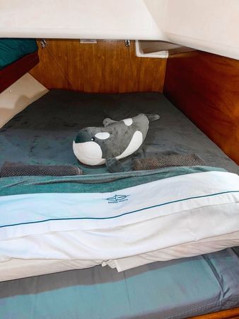 Bavaria 39 Cruiser | Naboa