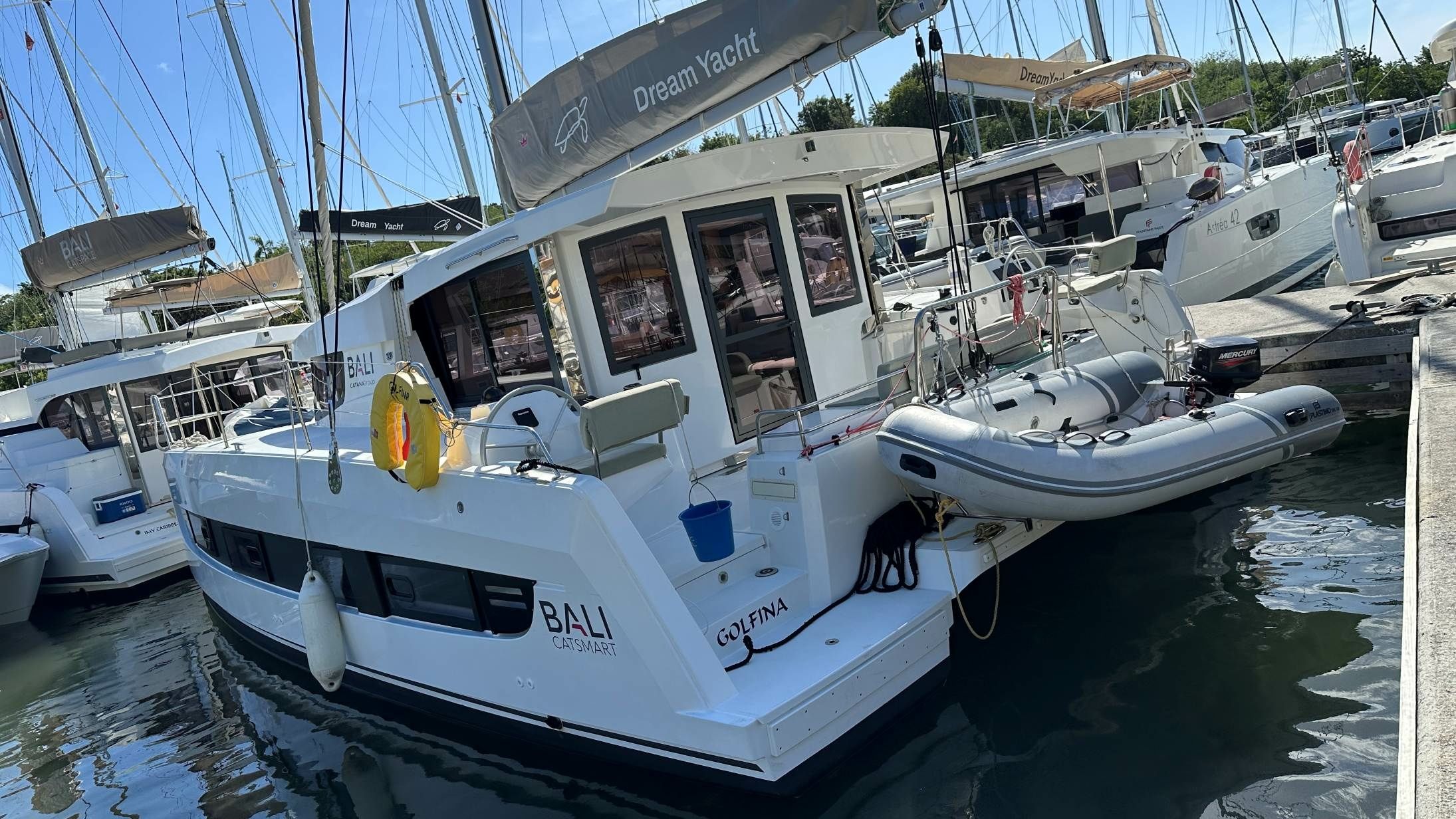 Bali Catsmart | Golfina