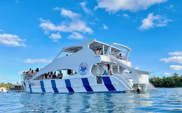 Custom Built 76 | Don Adolfo