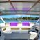 HH Catamarans HH50 Ocean Cruiser | Marcela