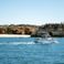 Jeanneau Esteou 630 | Griff