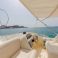 Al Shaali Marine AS 50 | Dubai Bay