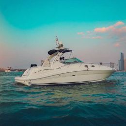 Sea Ray 40 | Zain