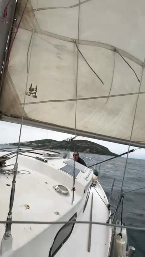 Domp 860 | Dalga 1