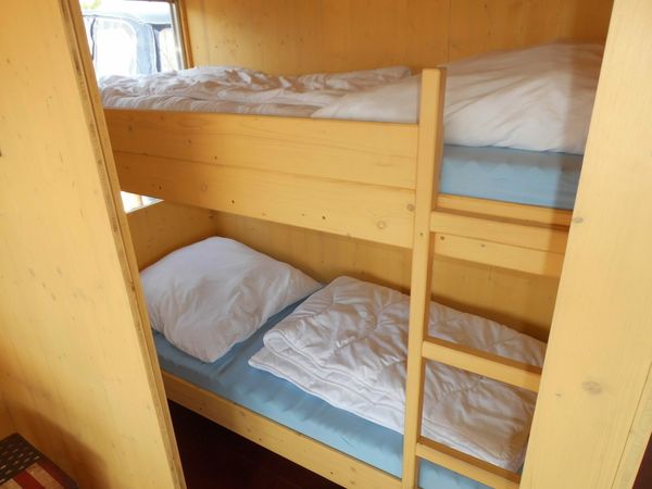 Tom Sawyer TS1000 | Natchez