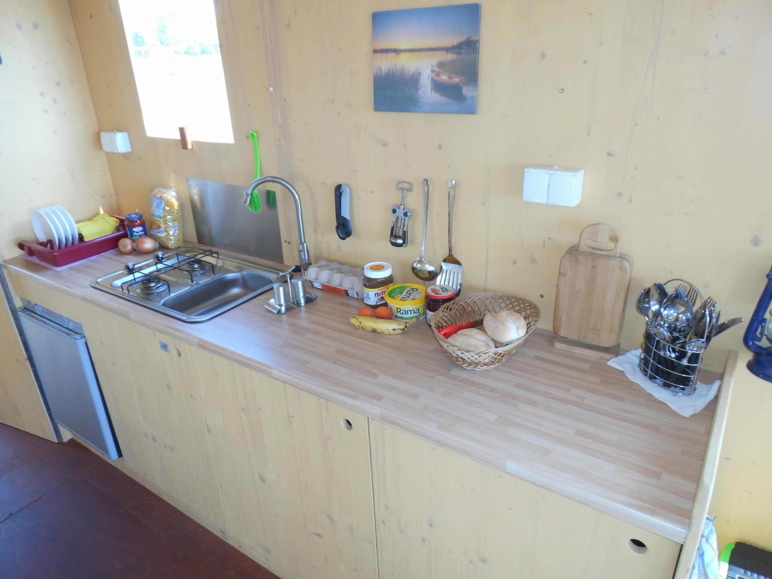 Tom Sawyer TS1000 | Sawyer